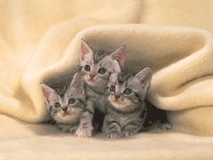 e58699e79c9fe382b5e383b3e38397e383ab2