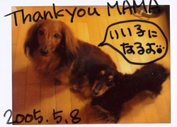 img_sample01 サンプル